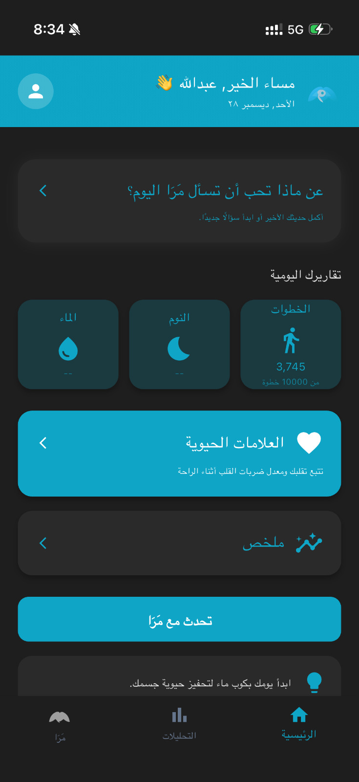 Mara Chat Interface Arabic